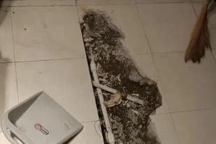 柳河卫生间漏水检测电话